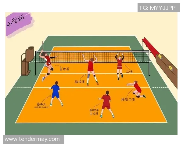 深圳排球队与成都排球队赛后复盘分析团队配合与战术执行的关键因素