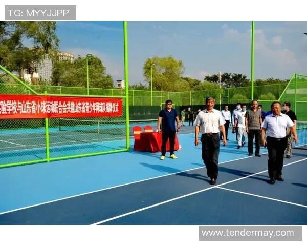 深圳网球队的整体压制革新探索与发展路径研究